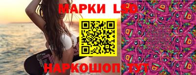 ГАЛЛЮЦИНОГЕННЫЕ ГРИБЫ Камышлов