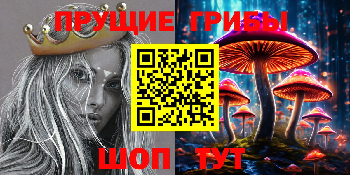 Галлюциногенные грибы Psilocybine cubensis  Галлюциногенные грибы мицелий  Курчатов  Вход с VPN 